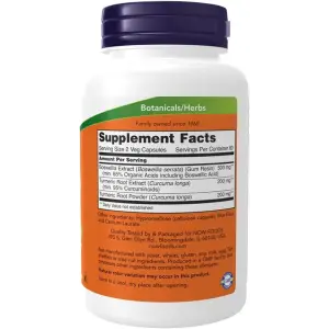 NOW Foods Boswellia Extract 250mg