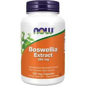 NOW Foods Boswellia Extract 250mg