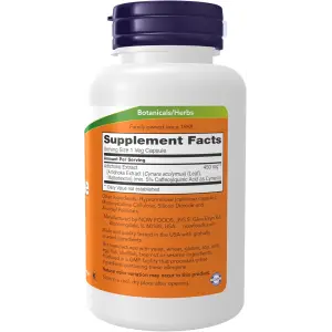 NOW Foods Artichoke Extract 450mg